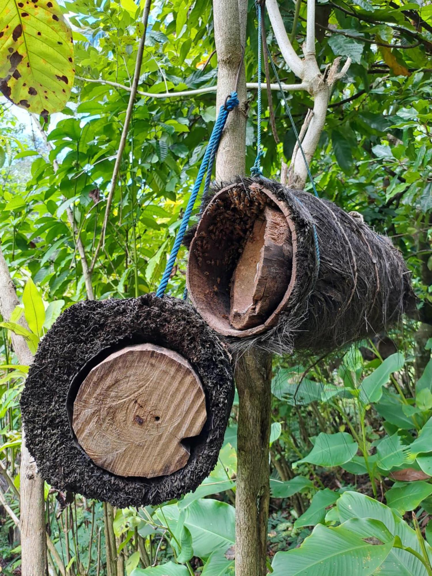 Willa Kubu Pilatus - Family House Lombok Tjakranegara Zewnętrze zdjęcie