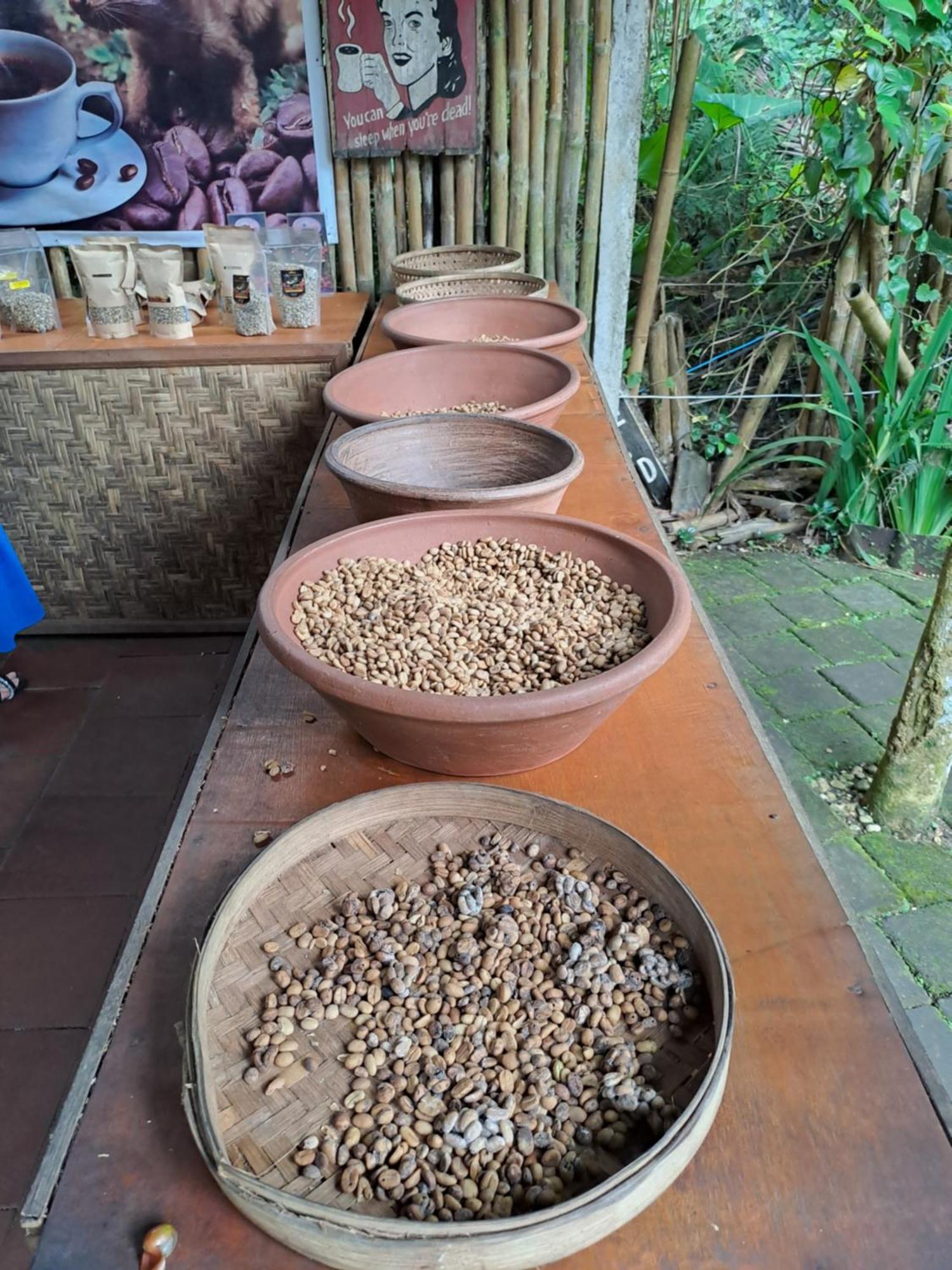 Willa Kubu Pilatus - Family House Lombok Tjakranegara Zewnętrze zdjęcie